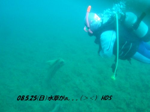 ファイル 147-3.jpg