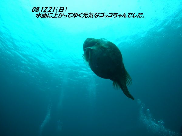 ファイル 238-5.jpg