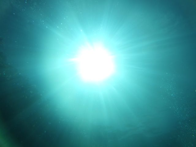 ファイル 40-2.jpg