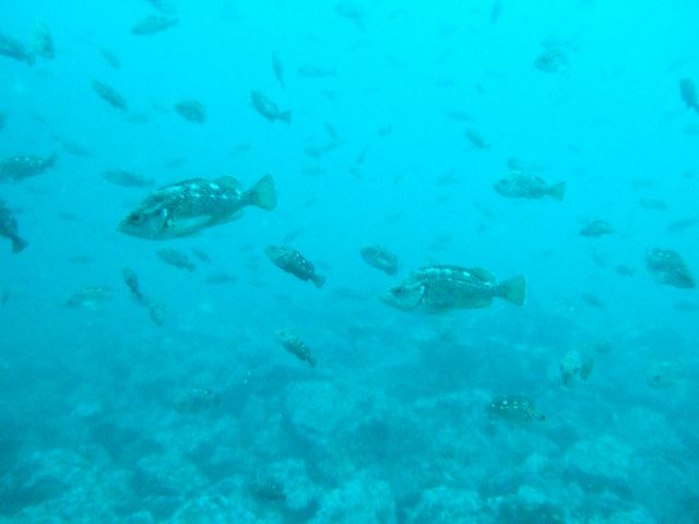 ファイル 544-3.jpg