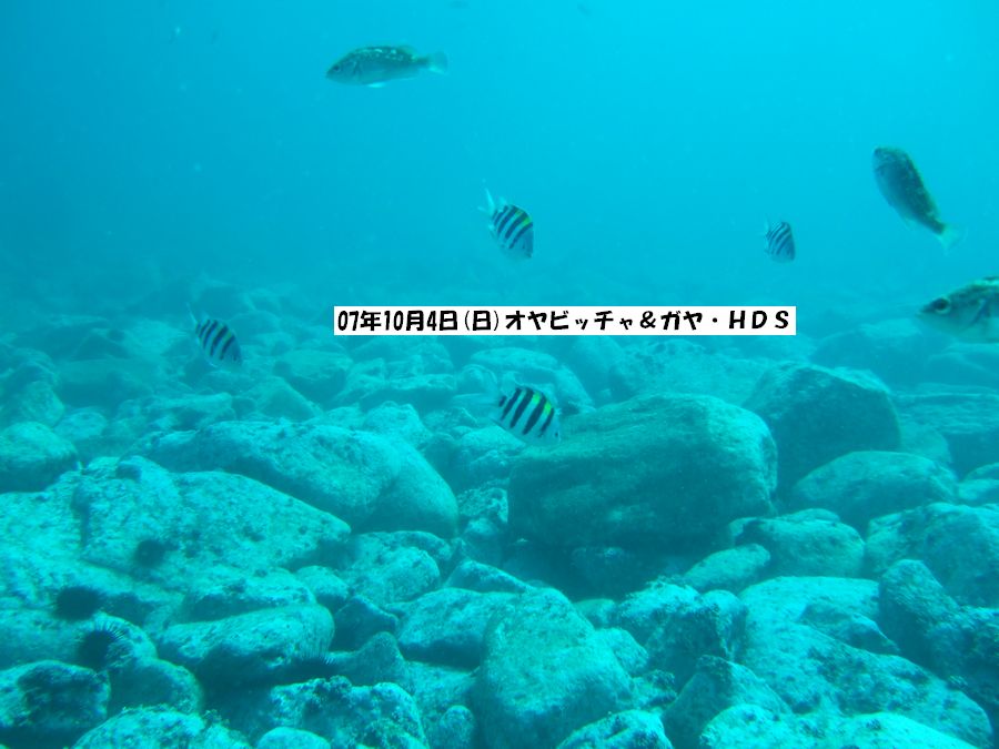 ファイル 68-1.jpg