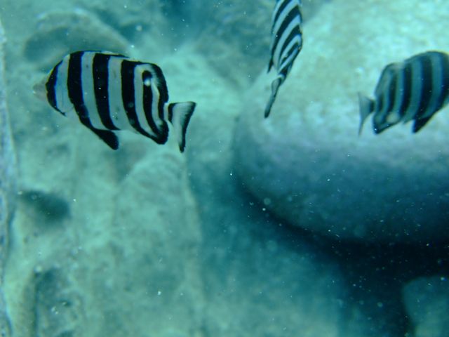 ファイル 711-2.jpg